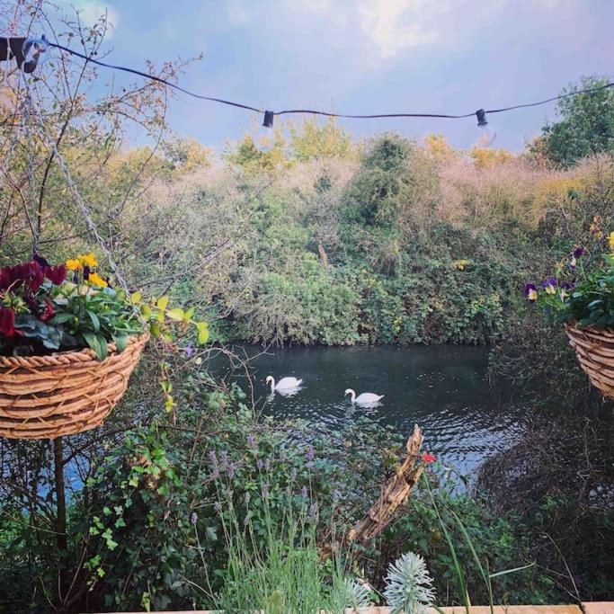 Canal View 2 Bedrooms End Of Terrace Chichester Buitenkant foto