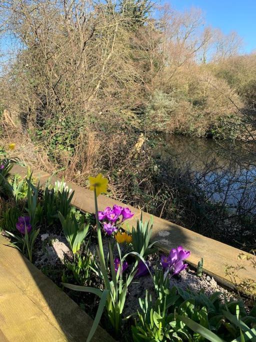 Canal View 2 Bedrooms End Of Terrace Chichester Buitenkant foto
